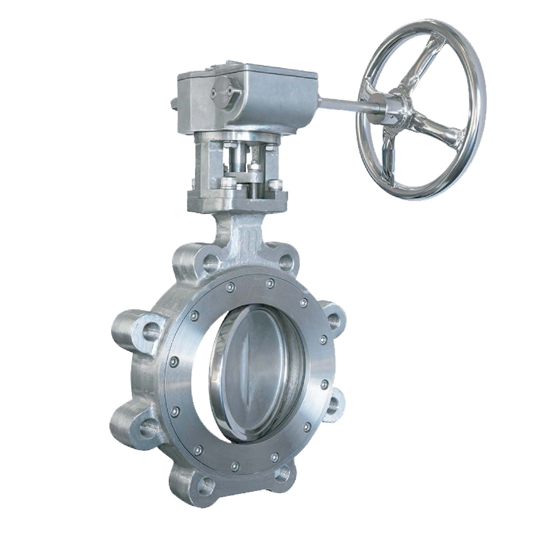 Double Offset Butterfly Valve