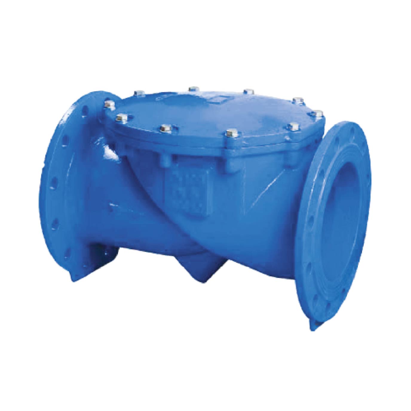 Rubber Disc Check Valve