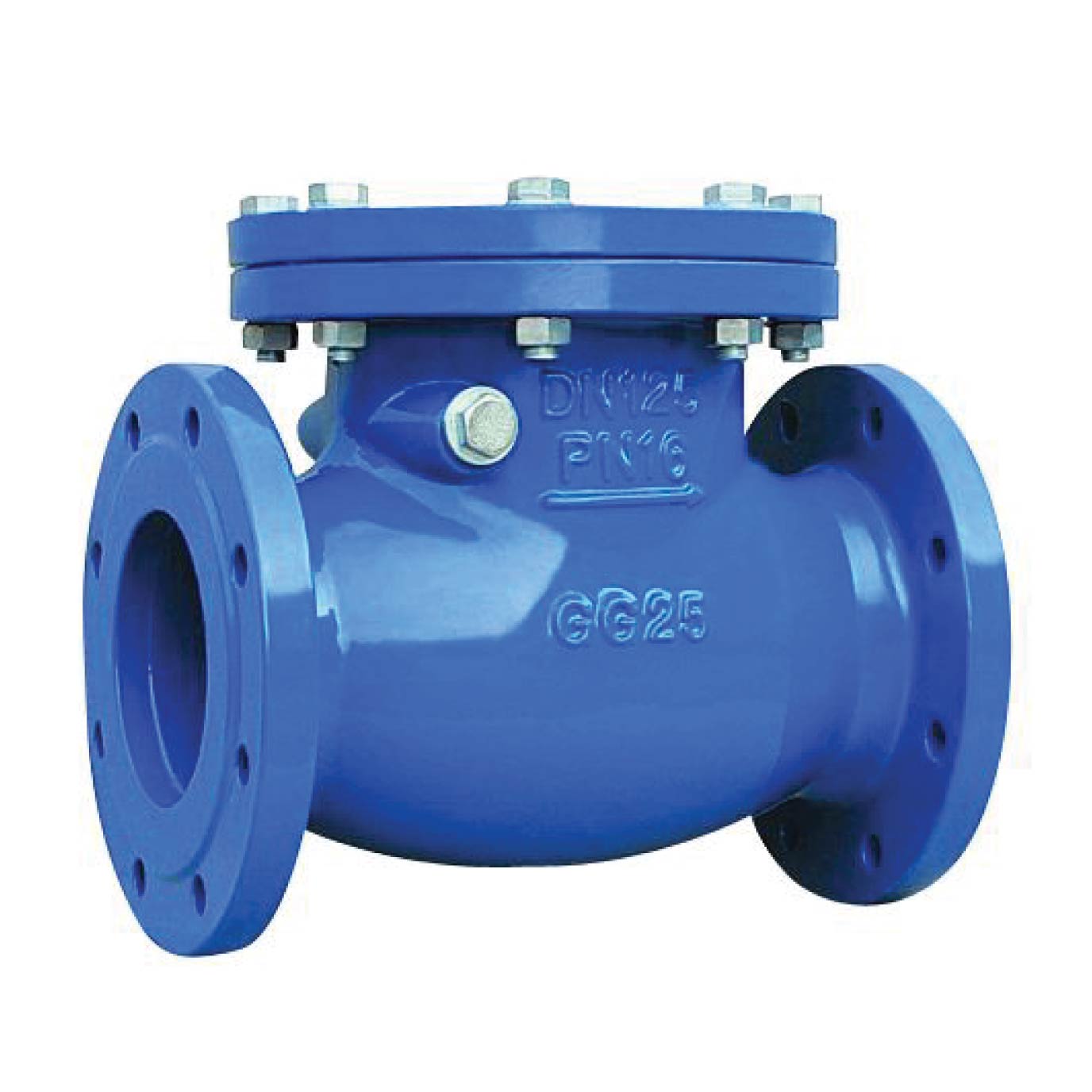 Swing Check Valve