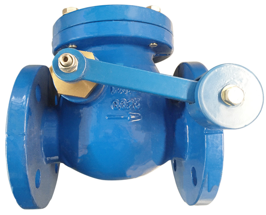 Swing Check Valve with Lever & Weight