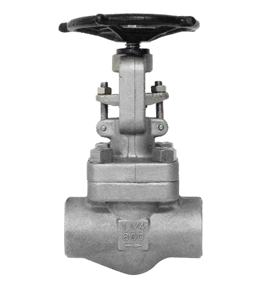 Forged Globe Valve