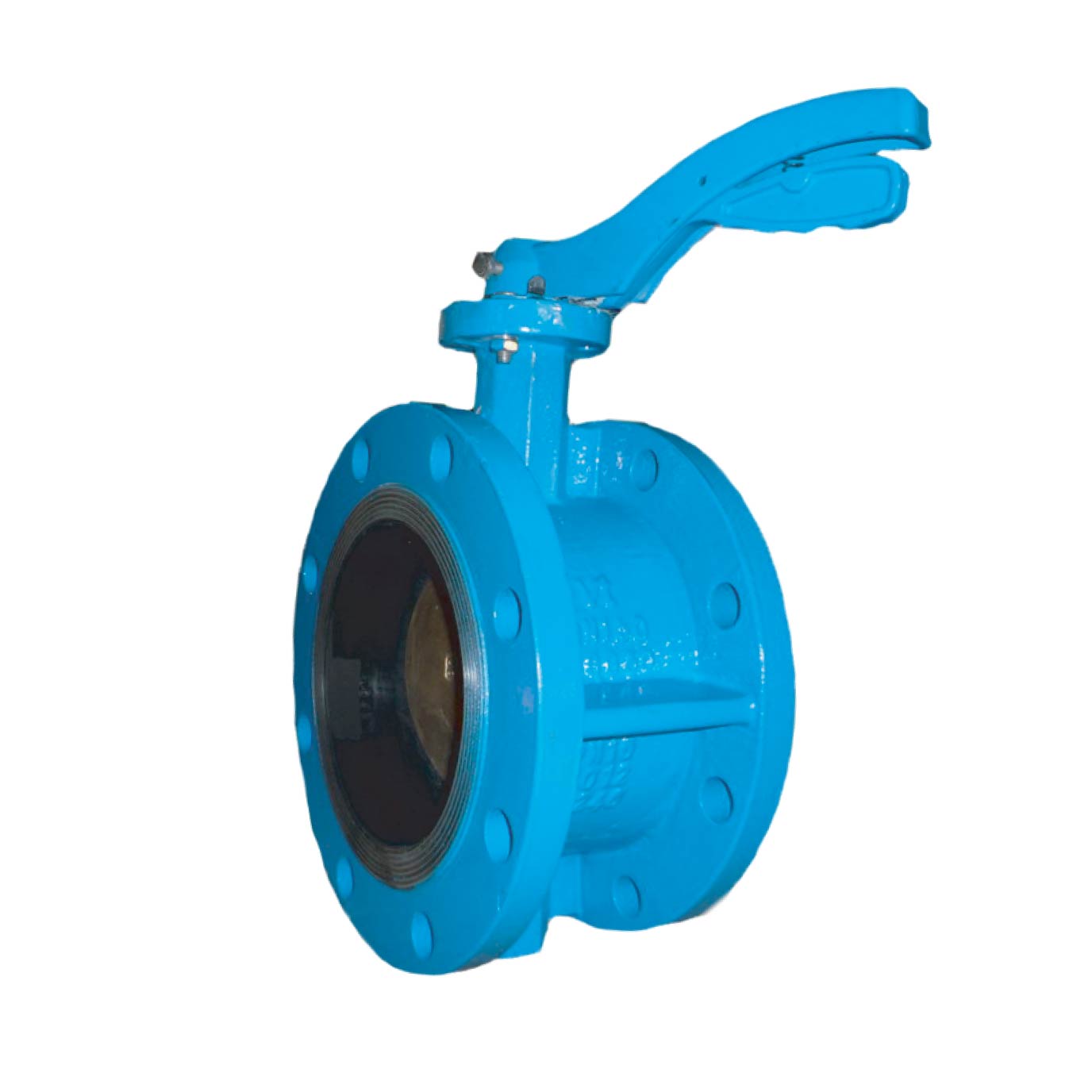 Double Flanged Butterfly Valve